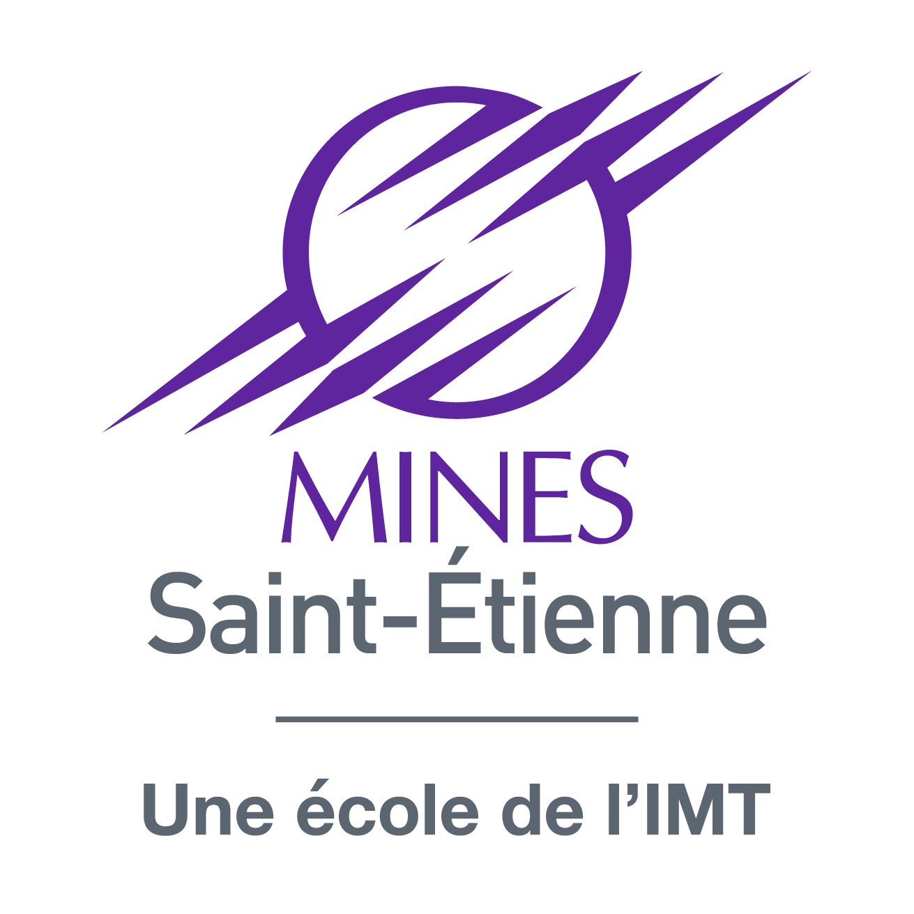 École Nationale Supérieure des Mines de Saint-Étienne